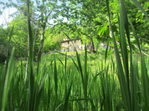 Casa Paladini, Castiglione Di Garfagnana